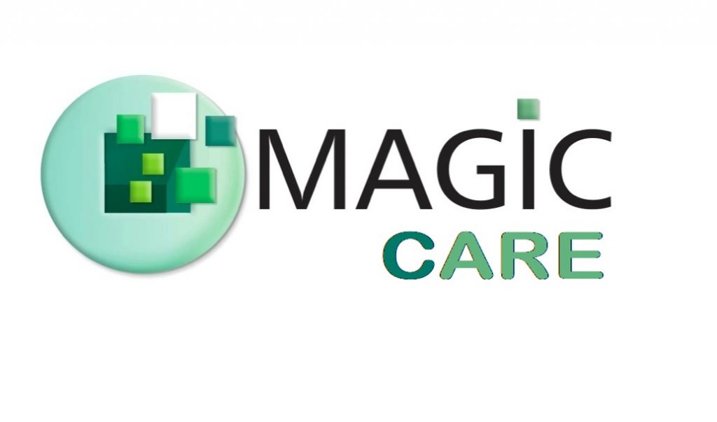 Vibee Profile – Conheça a startup Magic Network