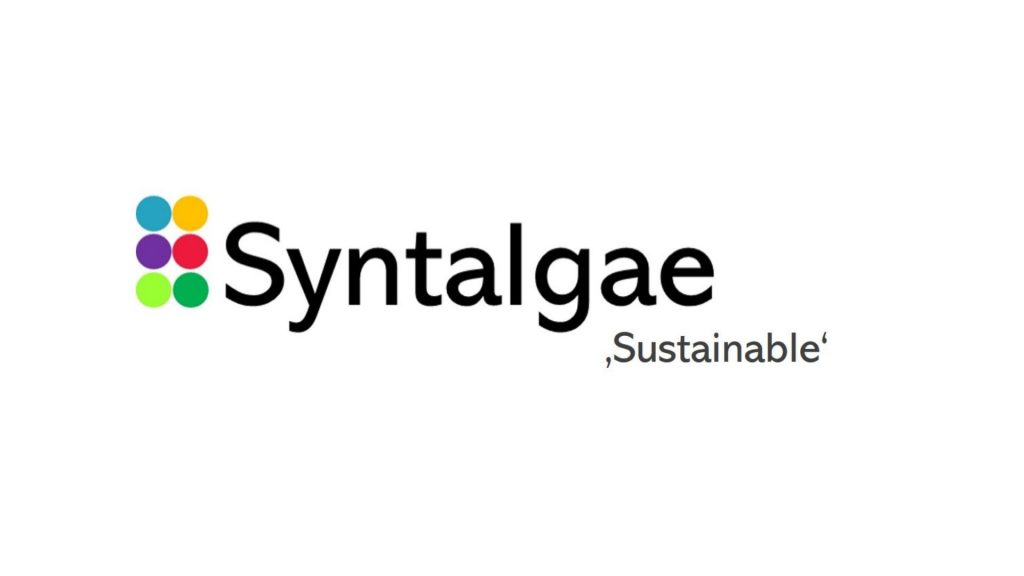 Vibee Profile – Conheça a startup Syntalgae