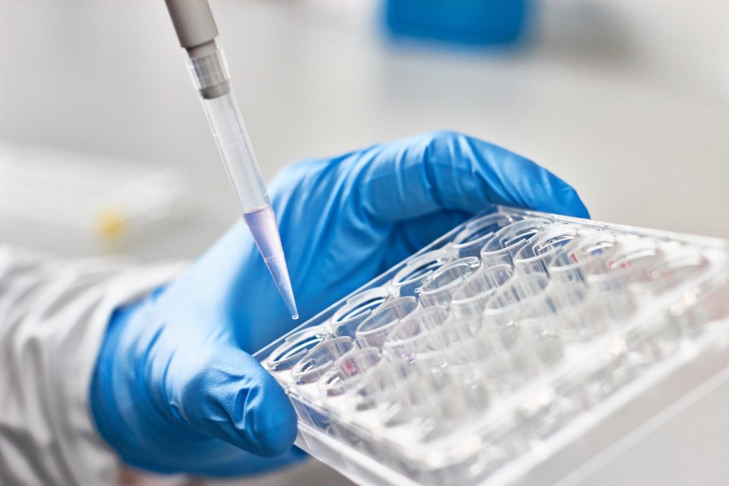 Biotechs na saúde: transformando paper em PIB